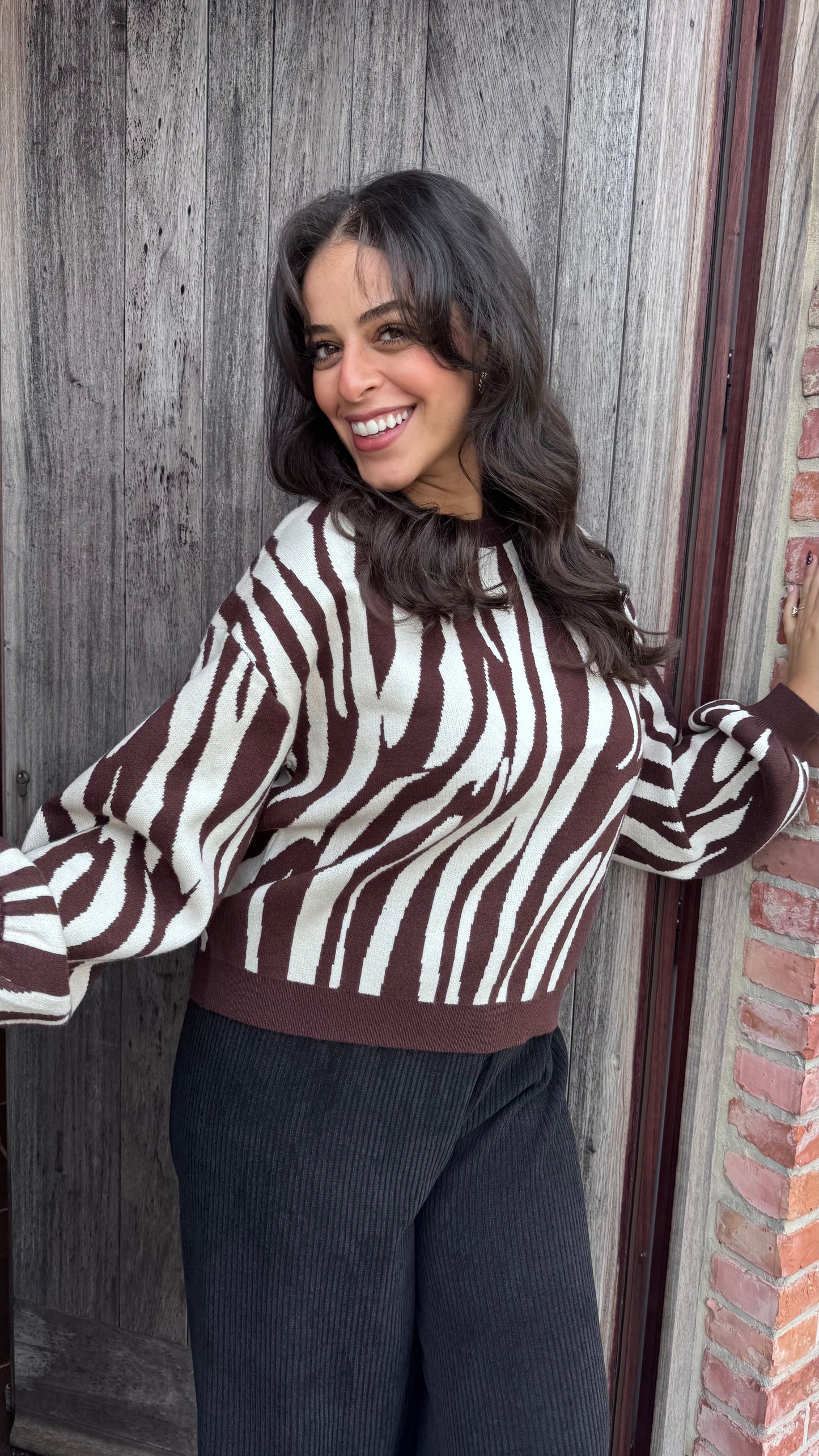 Zebra trui - Bruin