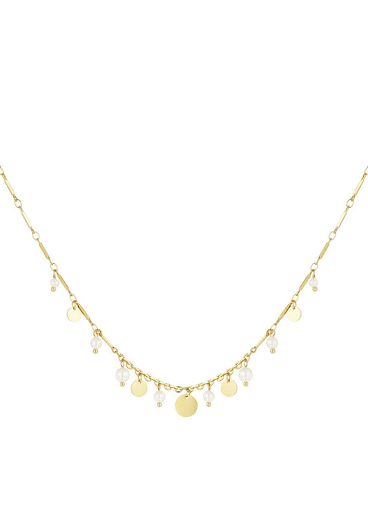 Coined élégance halsketting