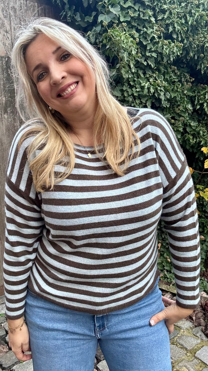 lichtblauw/bruin striped pull