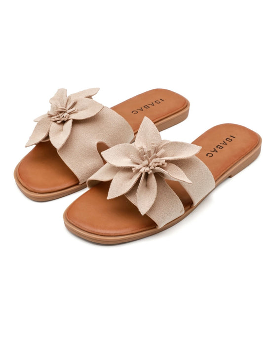 Slipper bloem