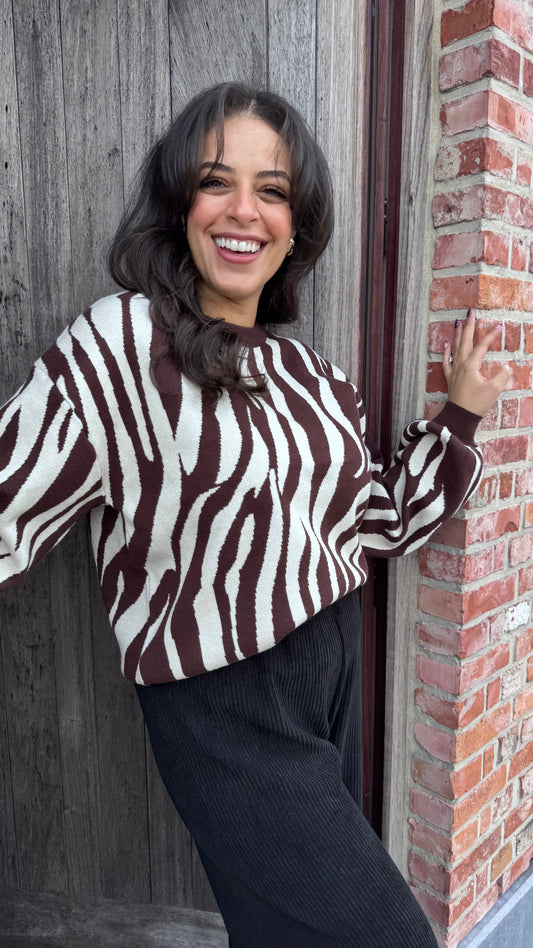 Zebra trui - Bruin