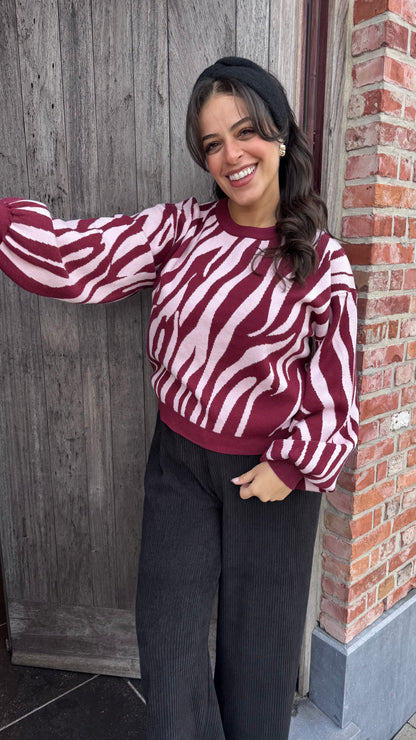 Zebra trui - Burgundy