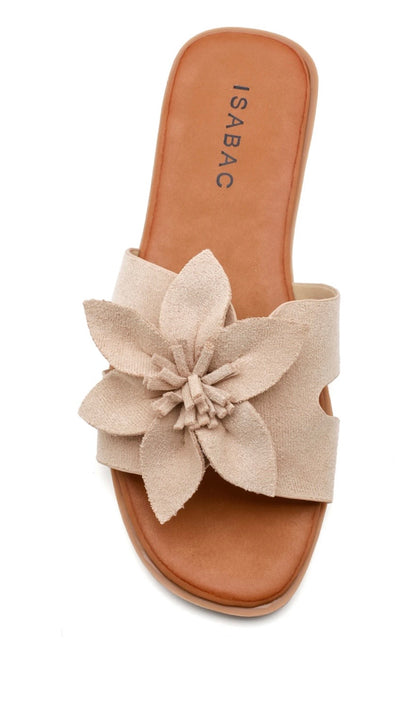 Slipper bloem