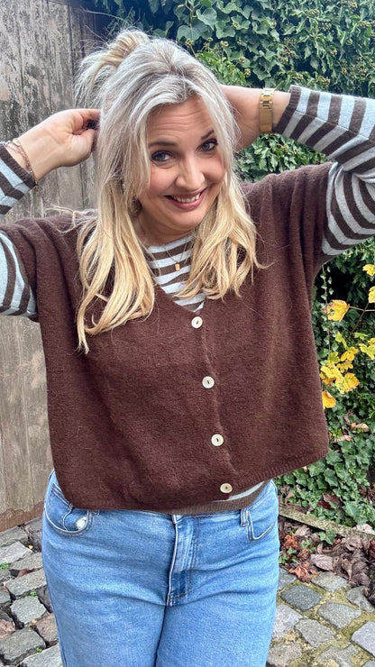 lichtblauw/bruin striped pull